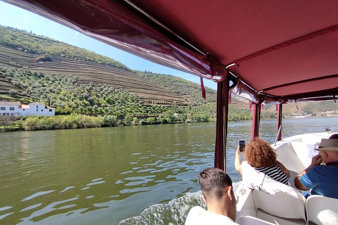 Private Day Tour in Douro Wine Region - Tour Highlights in Douro Valley