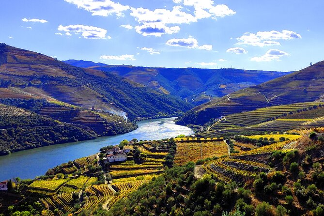 Private Day Tour in Douro Wine Region - Premium Wine Tasting Experience