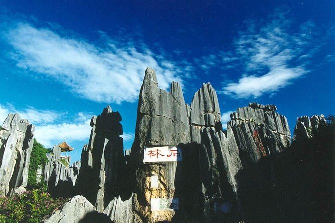 Private Day Tour in Kunming to Stone Forest and Cuihu Lake With Lunch - Inclusions