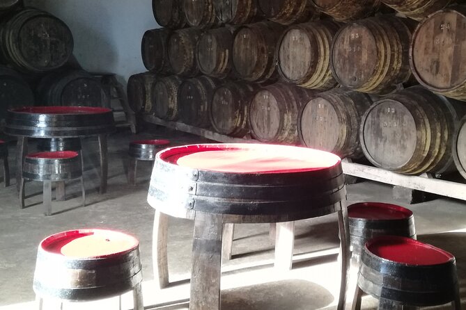 Private Day Tour in Olive Oil, Salt Flats and Winery - Additional Information