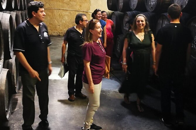 Private Day Tour in Olive Oil, Salt Flats and Winery - Activities Included