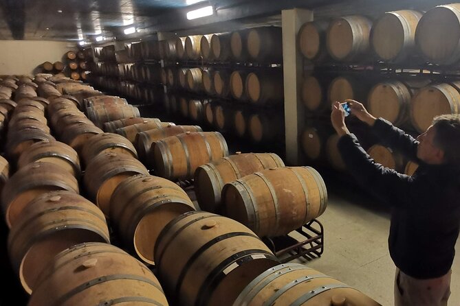 Private Day Tour in Olive Oil, Salt Flats and Winery - The Sum Up
