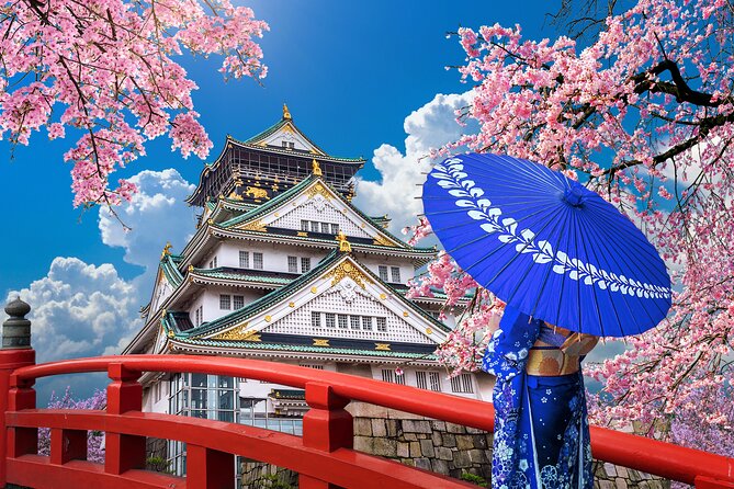 Private Day Tour in Osaka and Kyoto With Charter Car - What To Expect