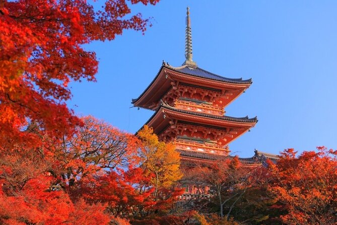 Private Day Tour in Osaka and Kyoto With Charter Car - Price and Booking