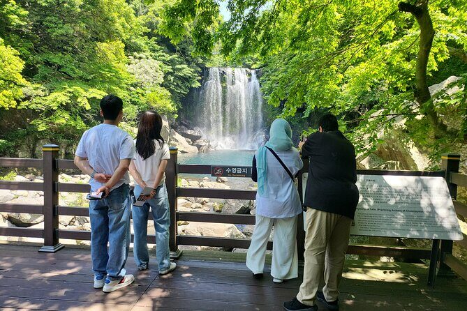 Private Day Tour in South in Jeju Island - FAQs