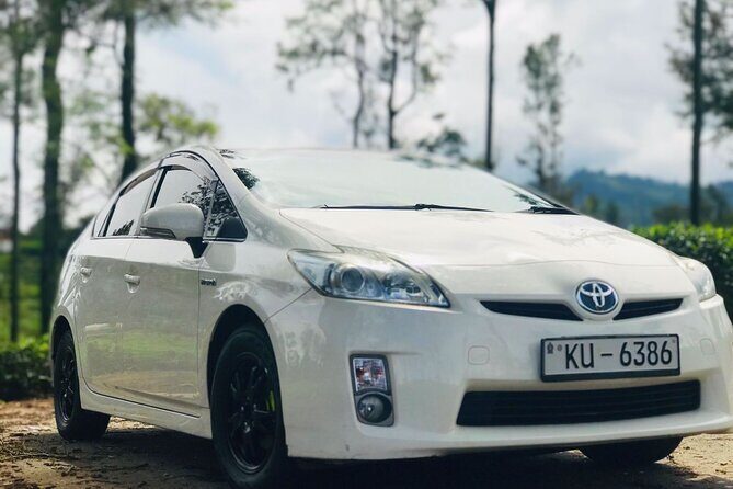 Private Day Tour in Southern Province Sri Lanka with Transfer - Who Is This Tour Best For?