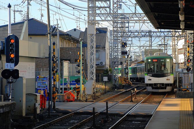 Private Day Tour in Tokyo With a Native English Speaker - Meeting and Pickup Information