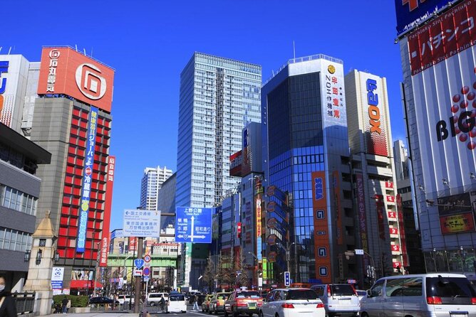Private Day Tour in Tokyo With a Native English Speaker - Common Questions