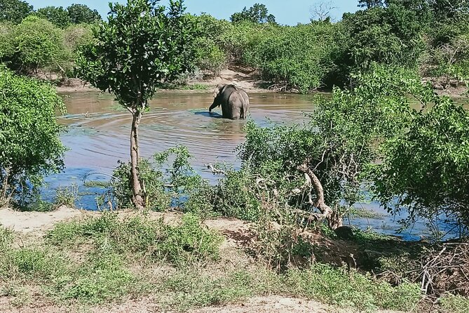 Private Day Tour in Yala National Park With Lunch - Common Questions