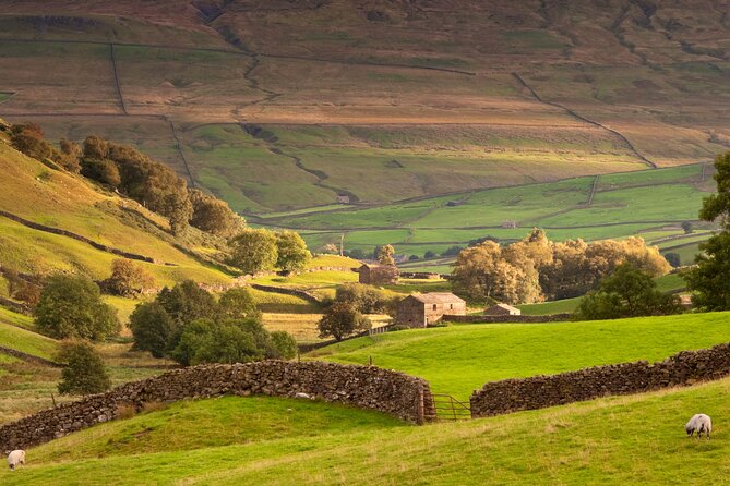Private Day Tour in Yorkshire Dales, Fell, Valley and Castle - Tour Highlights