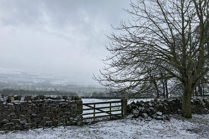 Private Day Tour in Yorkshire Dales, Fell, Valley and Castle - Fell and Valley Discovery