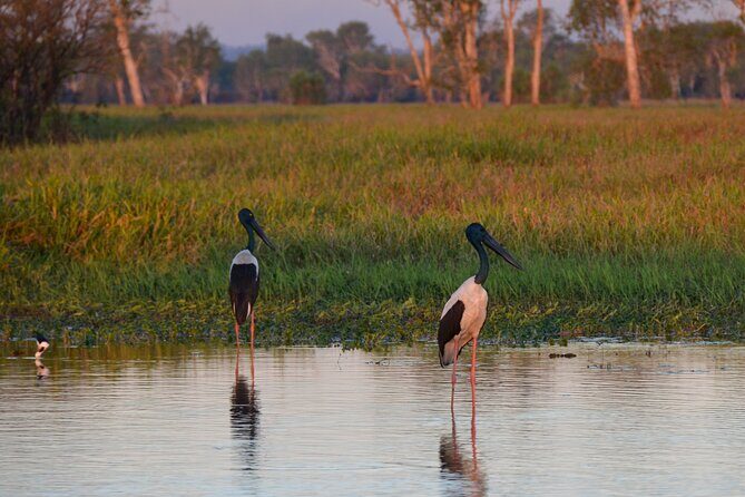 Private Day Tour Kakadu - Final Thoughts: Is This Tour Worth It?