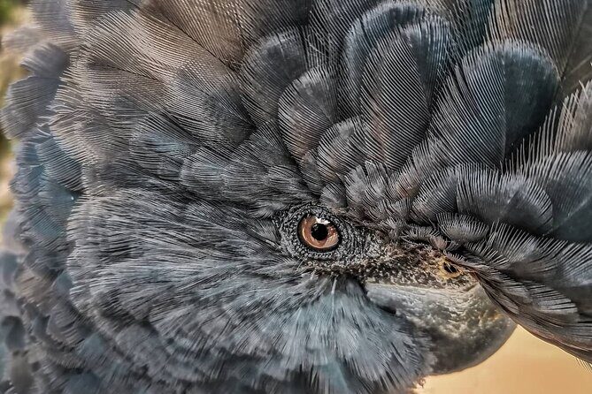 Private Day Tour Kakadu - FAQ