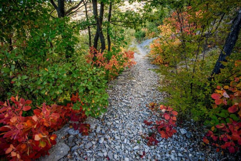 Private Day Tour Krka Waterfalls & Game of Thrones - Who Should Consider This Tour?