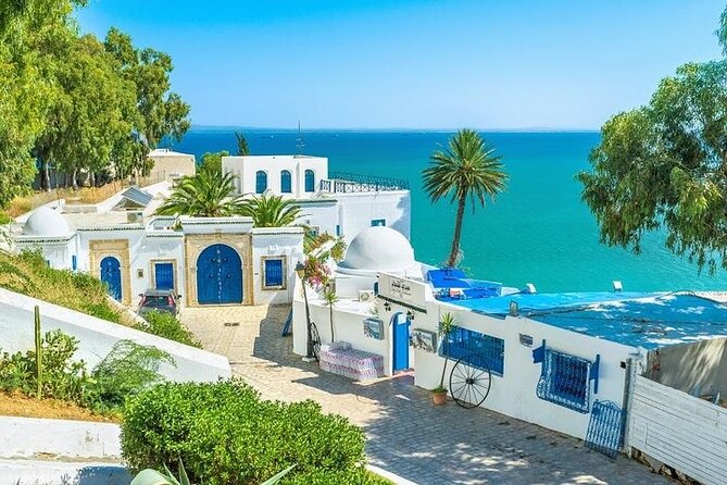 Private Day Tour: Medina of Tunis, Carthage, Sidi Bousaid With Lunch - Historical Marvels: Explore the Medina of Tunis