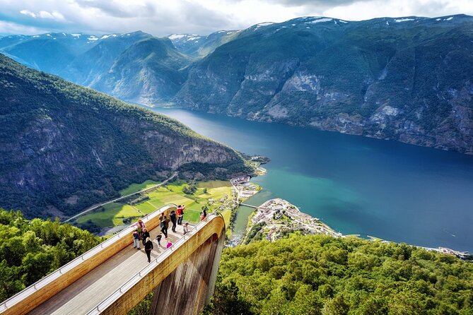 Private Day Tour Nærøyfjord Cruise, Viking Village, Flåm Railway - Booking Details and Pricing