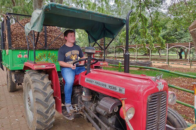 Private Day Tour of Bylakuppe Tibetan Monastery from Mysore - Practical Tips for Your Trip