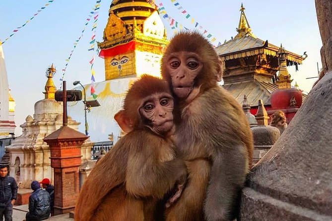 Private Day Tour of Durbar, Temple and Stupa #visitnepal2020 - Common Questions