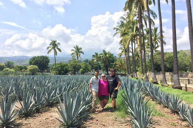 Private Day Tour of Guachimontones & Tequila - Directions to Tequila