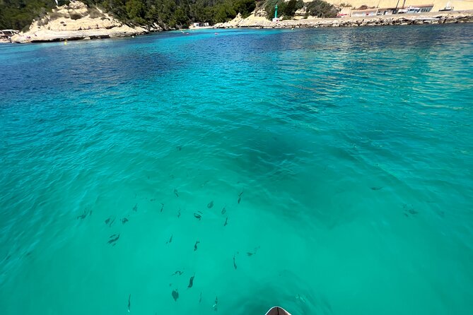 Private Day Tour of Mallorca by Boat - Booking and Reservation Process