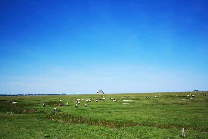 Private Day Tour of Mont Saint-Michel From Bayeux - The Sum Up