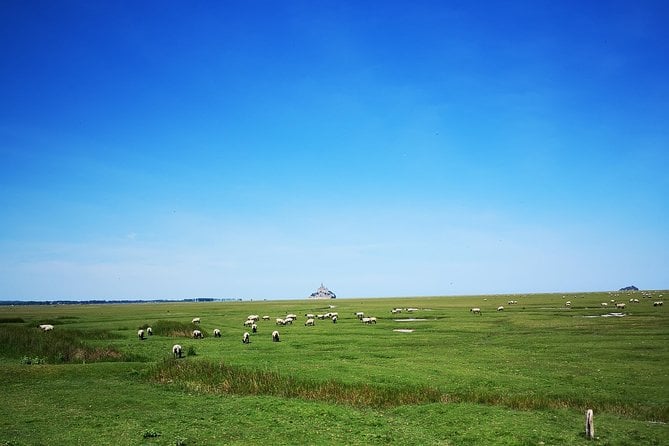 Private Day Tour of Mont Saint-Michel From Caen - Cancellation Policy