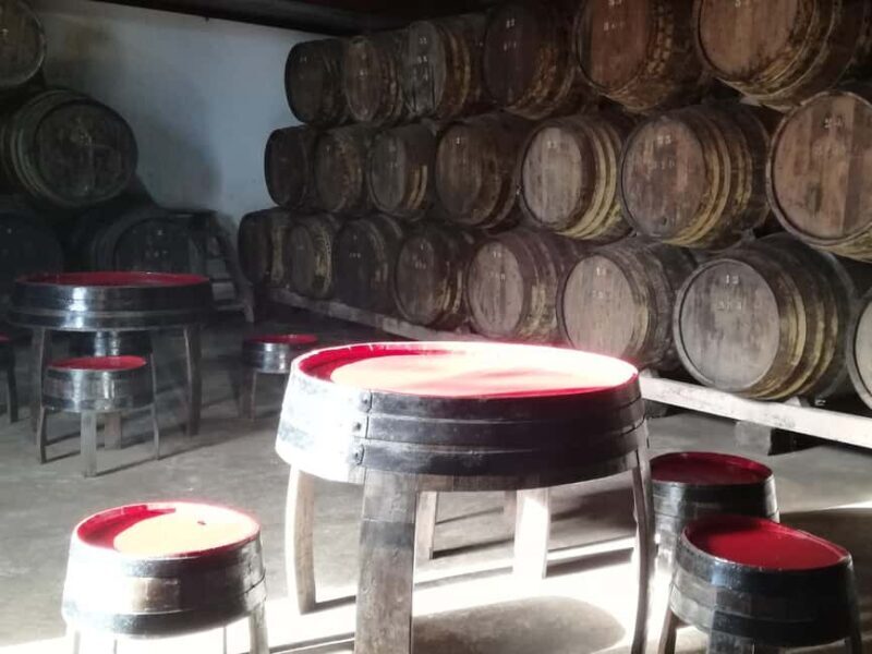 Private day tour of Olive Oil , Salt Flats and Winery - Introduction