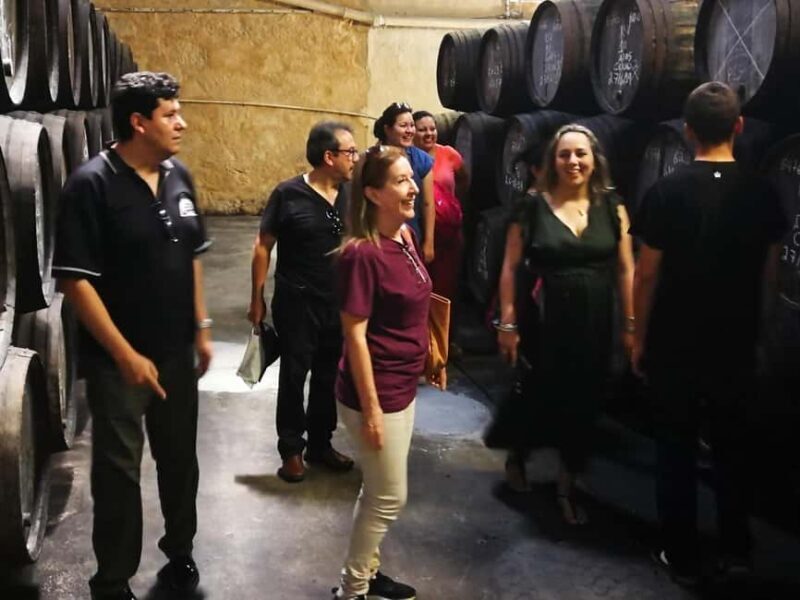 Private day tour of Olive Oil , Salt Flats and Winery - Why This Tour Offers Good Value