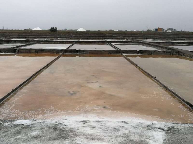 Private day tour of Olive Oil , Salt Flats and Winery - FAQ