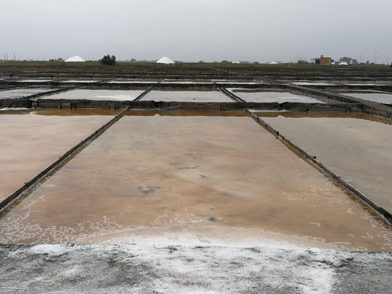 Private day tour of Olive Oil , Salt Flats and Winery - Overall Impression of the Tour