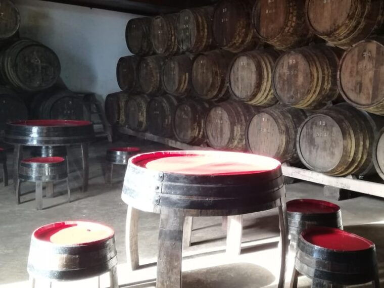 Private day tour of Olive Oil , Salt Flats and Winery - FAQ