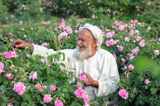 Private Day Tour of Omans Natural Wonders in Nizwa, Jabel Akhdar - Important Considerations