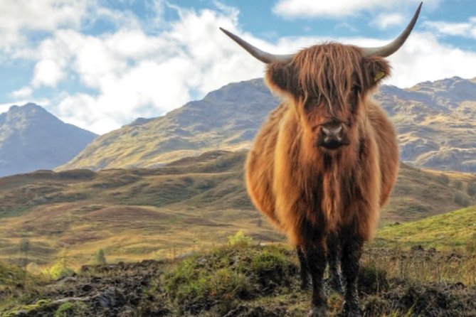 Private Day Tour of Outlander Filming Locations in Scotland - Outlander Filming Locations in Scotland