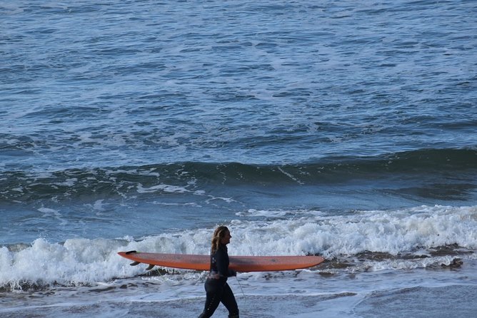 Private Day Tour of Phillip Island Wildlife and Brighton Beach - Additional Information