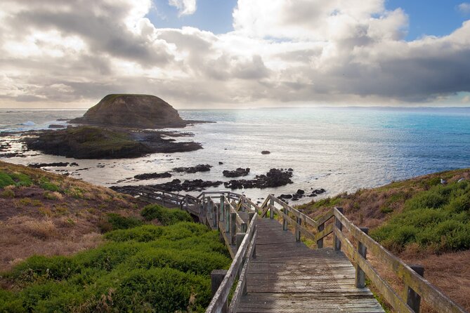 Private Day Tour of Phillip Island Wildlife and Brighton Beach - Tour Highlights