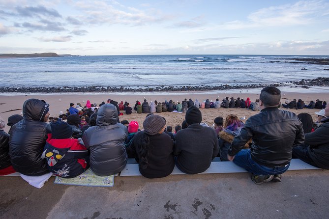 Private Day Tour of Phillip Island Wildlife and Brighton Beach - The Sum Up