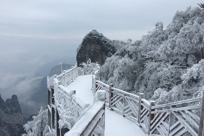 Private Day Tour of Tianmen Mountain With Skywalk - Customer Satisfaction