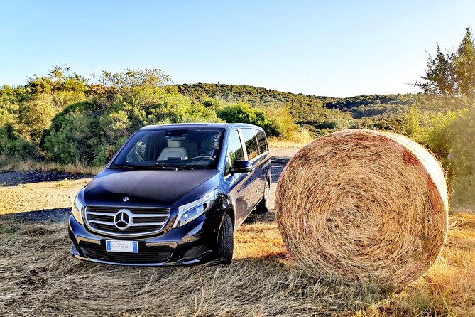 Private Day Tour: Pisa and Lucca From Florence - Cancellation Policy