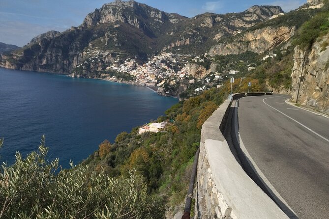 Private Day Tour: Pompei and Herculenium. - Reviews