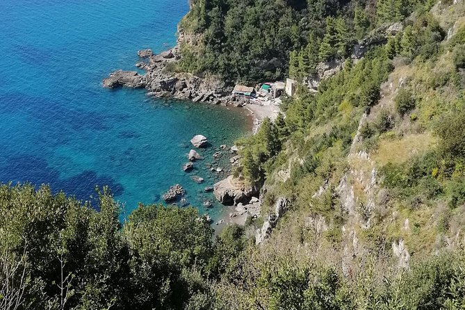 Private Day Tour: Pompeii, Sorrento and Positano. - Selected Reviews