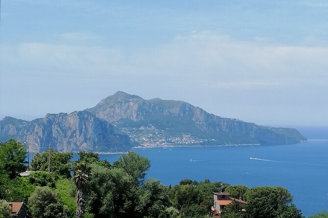 Private Day Tour: Pompei,Vesuvius and Herculaneum. - Price and Reviews