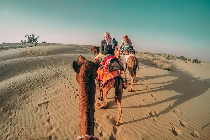 Private Day Tour Pushker - Tour Pricing and Inclusions