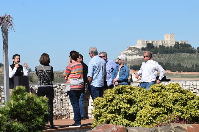 Private Day Tour Ribera Del Duero - Meeting and Pickup Information