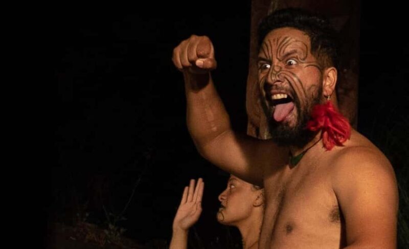 Private Day Tour - Rotorua, Kiwi Hatchery & Mori Culture - Up Close with New Zealand’s Icon: The Kiwi