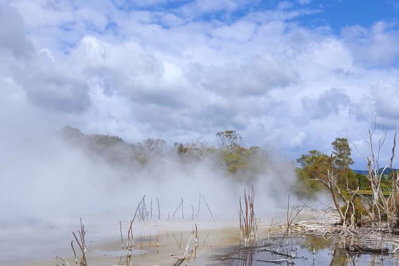 Private Day Tour - Rotorua, Kiwi Hatchery & Mori Culture - Additional Highlights and Practical Details