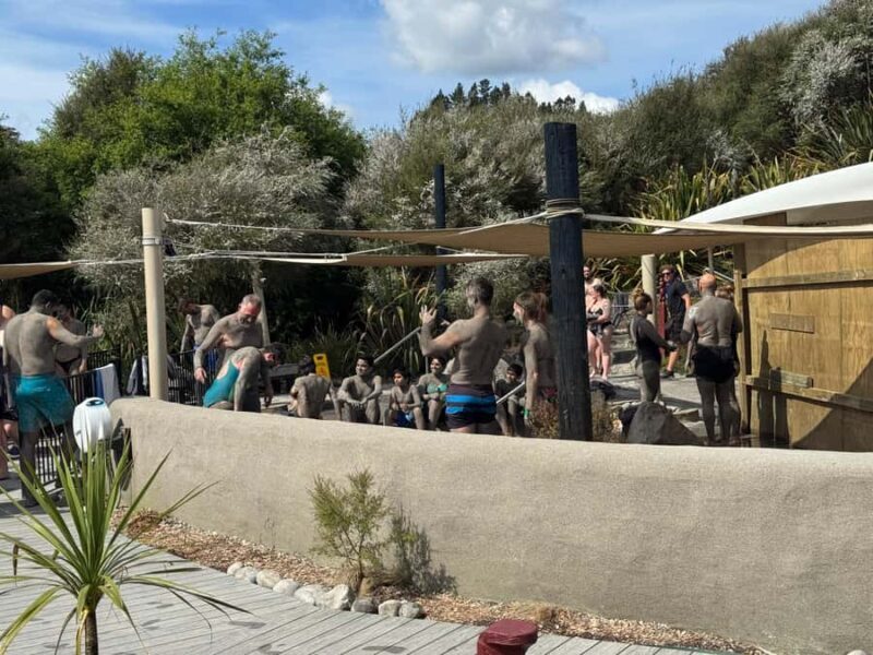 Private Day Tour - Rotorua, Kiwi Hatchery & Mori Culture - Summary of the Experience’s Value