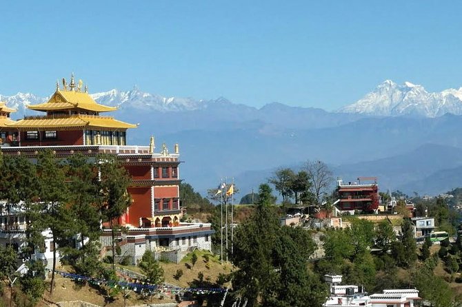 Private Day Tour: Shiva Statue, Panauti & Namo Buddha  - Kathmandu - Reviews