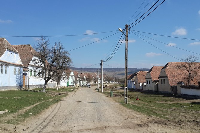 Private Day Tour Sighisoara and Viscri From Brasov With Hotel Pick Up/ Drop off - Customer Reviews