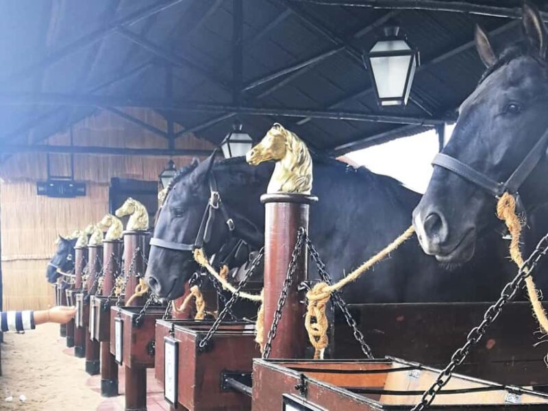 Private Day Tour Tagus River, olive oil, winery and horses - The Practicalities