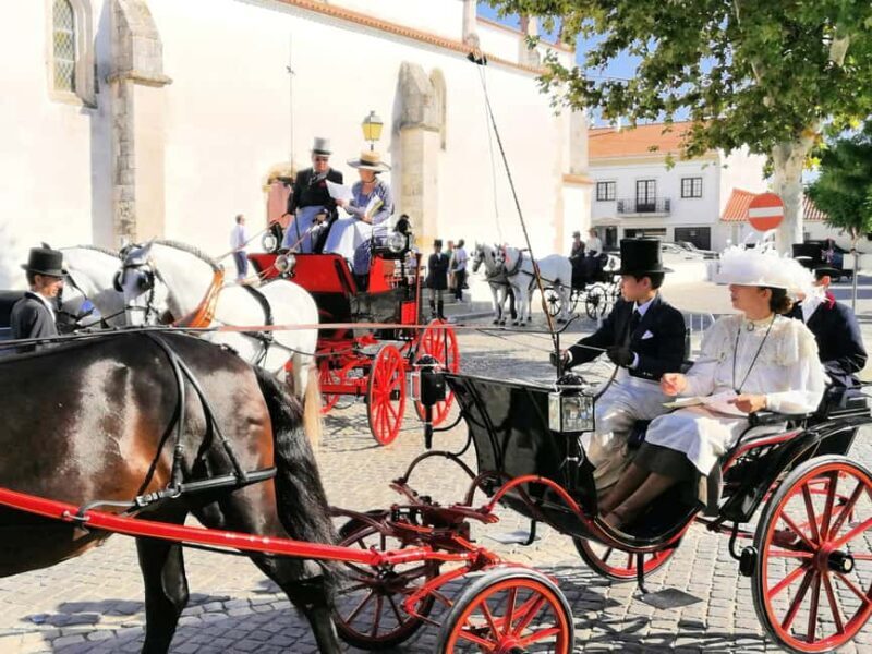 Private Day Tour Tagus River, olive oil, winery and horses - FAQ